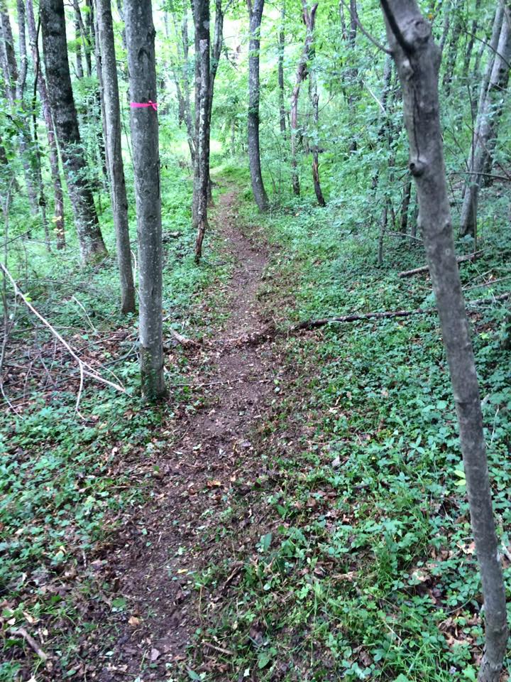 Upshur County Trails