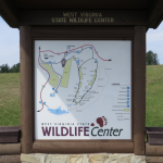 West Virginia State Wildlife Center by Vickie Mendenhall